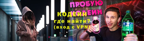 винт Липки