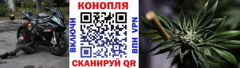 МАРИХУАНА ГИДРОПОН  что такое   Лиски 